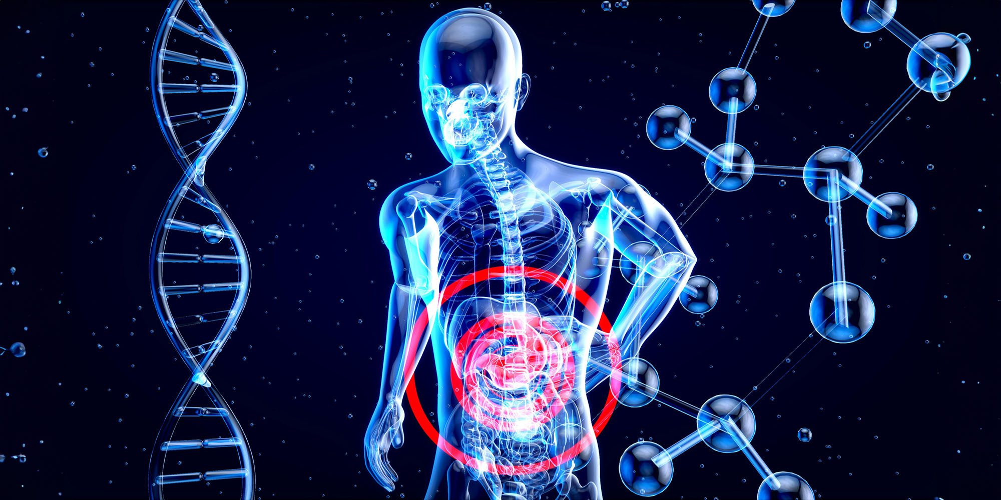Law proposed to ban AI companies from selling your health data | Of a three-dimensional X-ray with DNA strand and molecule structure